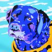 PETS wiley