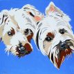 PETS yorkies